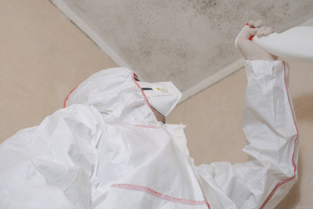 Best Crawl Space Mold Removal  in Manitou Beach Devils Lake, MI